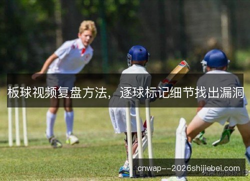 板球视频复盘方法,逐球标记细节找出漏洞 板球视频复盘方法,逐球标记细节找出漏洞